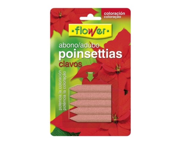 Abono poinsettias clavos 5 uds