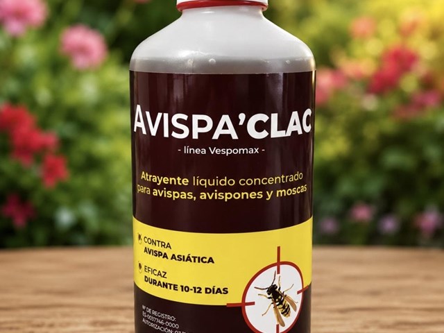 ATRAYENTE AVISPA ASIATICA 500 CC