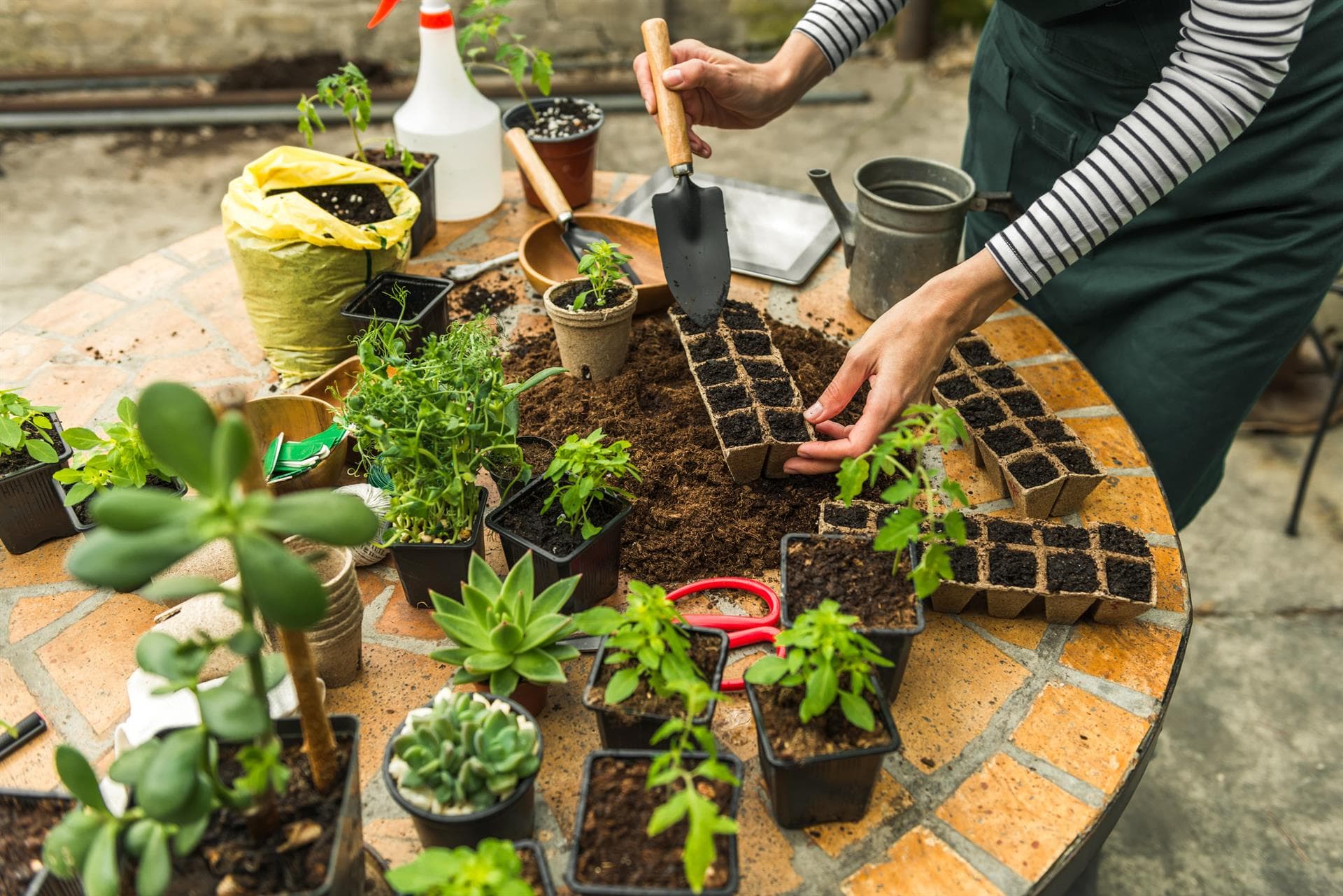 Compra abonos y fertilizantes desde la comodidad de tu casa