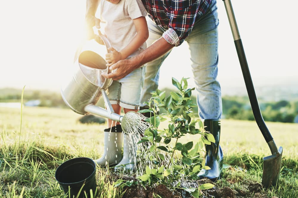 Artículos de jardinería