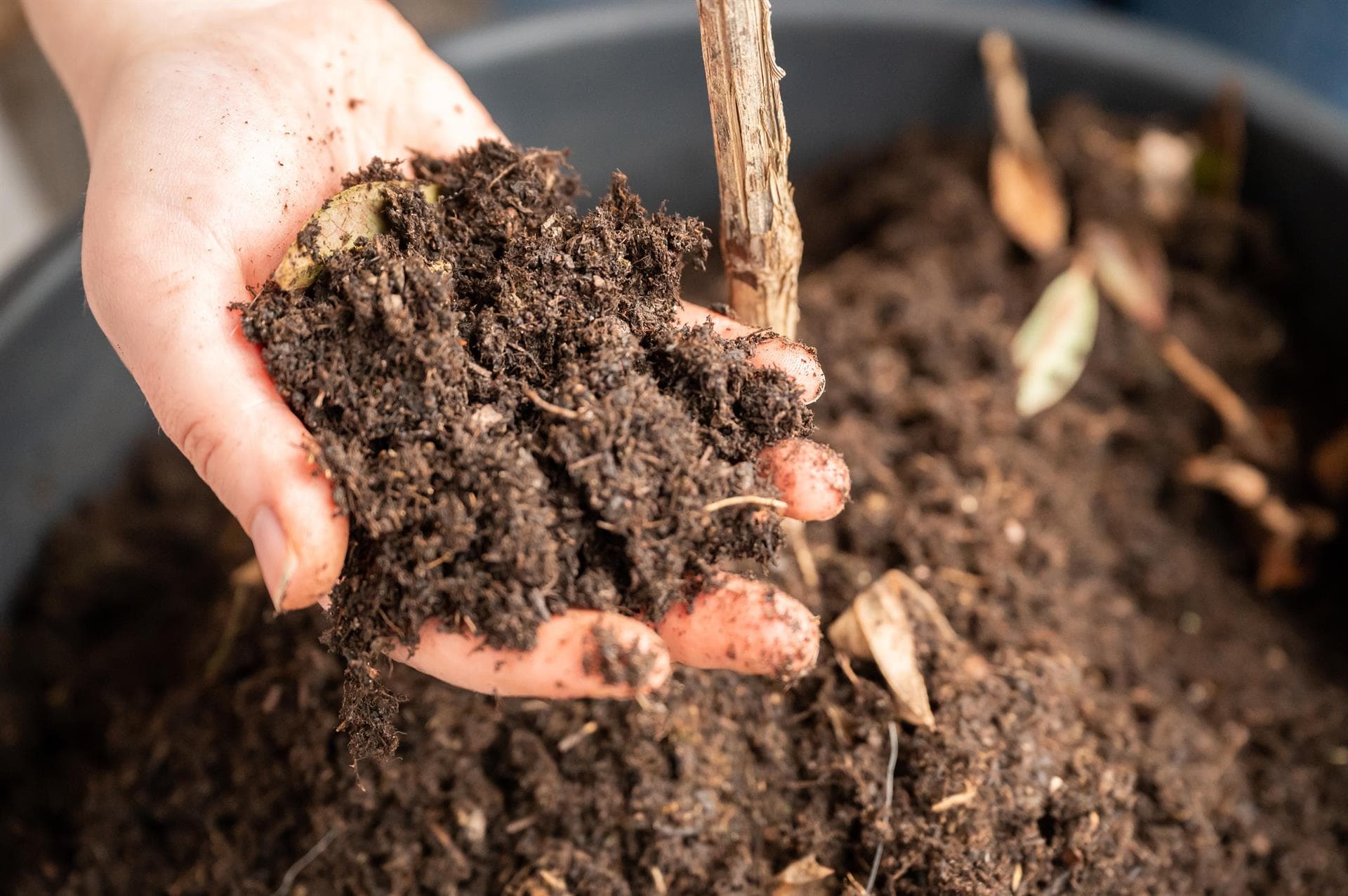 Cuida de tu jardín con los productos ecológicos de nuestra tienda online