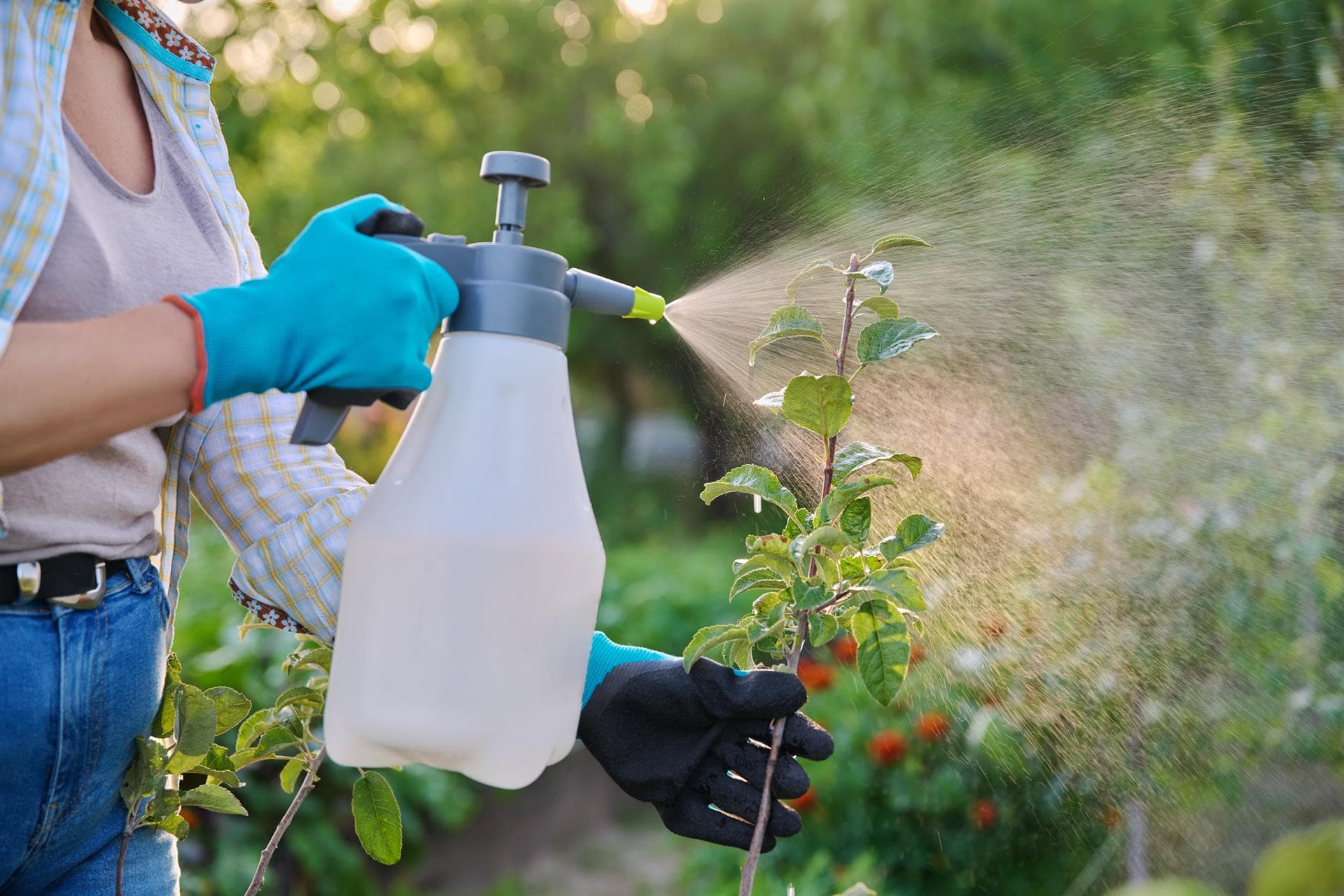  Productos fitosanitarios para jardinería y agricultura