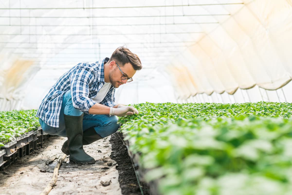 Almacenes Rivera, venta de material agrícola en Ourense