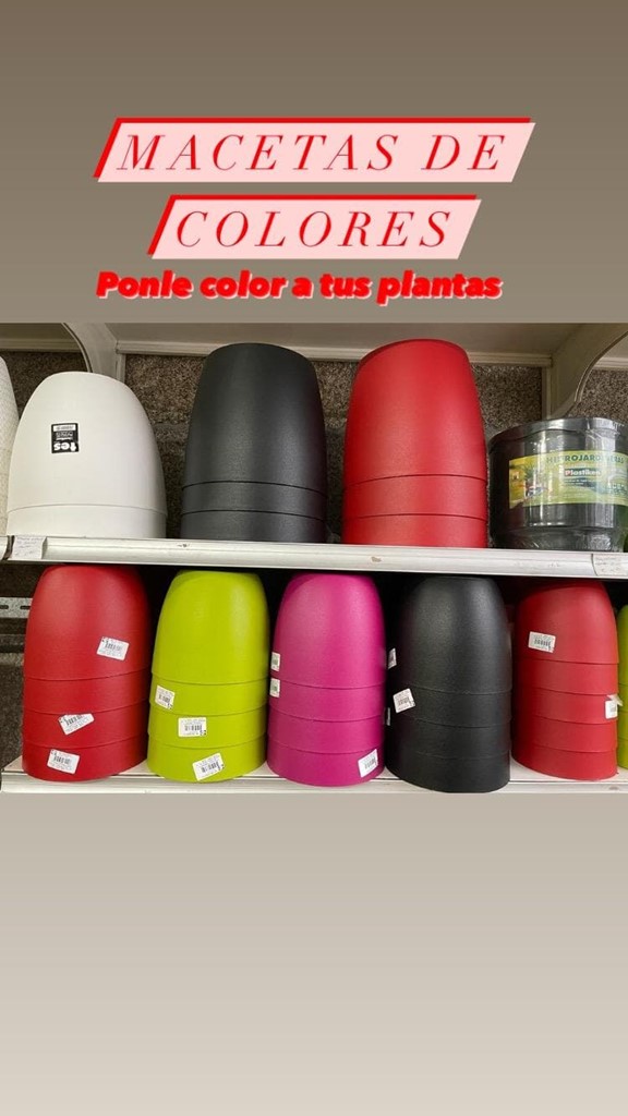 Foto 1 Maceta grass Negro, Rojo, Verde y Fucsia Fansa 13 cm