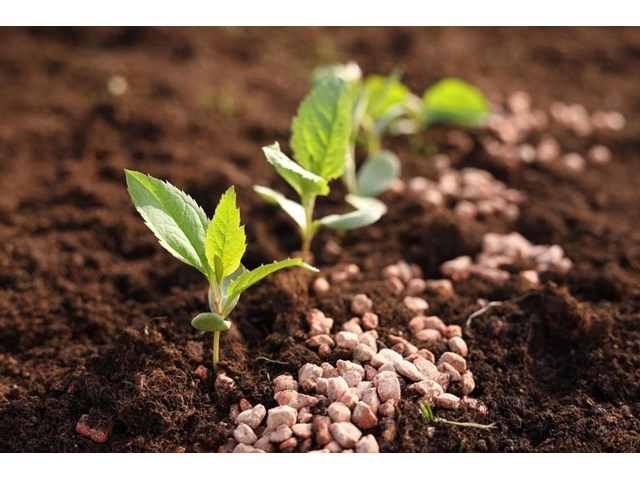 ¿Qué abono es el perfecto para tu plantación?