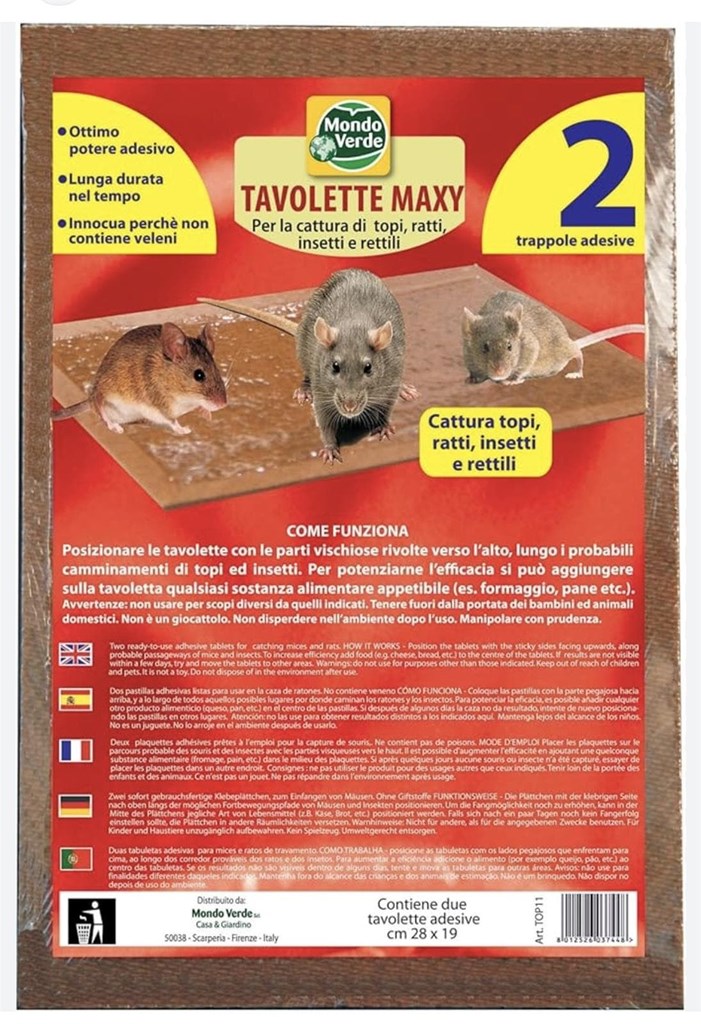 Foto 1 TRAMPA RATONES MONDO VERDE 28X19