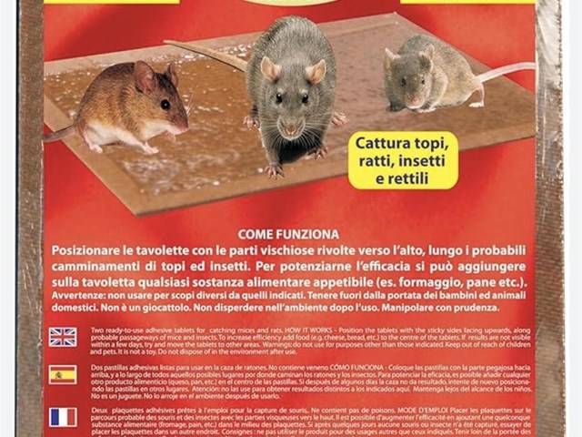 TRAMPA RATONES MONDO VERDE 28X19